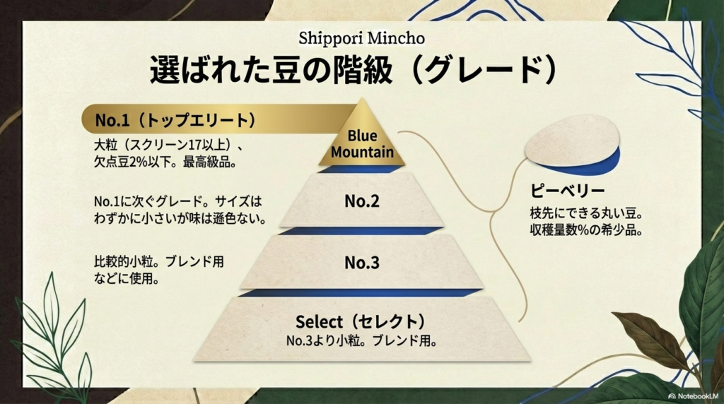 No.1からNo.3、ピーベリーまで、豆のサイズと欠点豆の割合に基づいた厳格な階級分けを説明するスライド